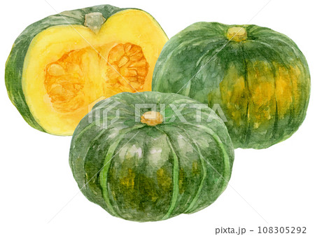 3個のカボチャの葉の水彩イラスト カボチャの断面 3個のカボチャの葉の水彩イラスト カボチャの断面 108305292