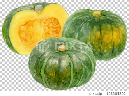 3個のカボチャの葉の水彩イラスト カボチャの断面 3個のカボチャの葉の水彩イラスト カボチャの断面 108305292