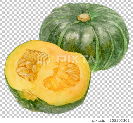 大南瓜和南瓜半切的水彩插圖 大南瓜和南瓜半切的水彩插圖 108305301