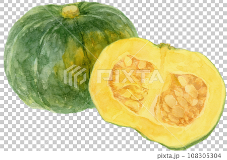 大南瓜和南瓜半切 3 的水彩插圖 108305304