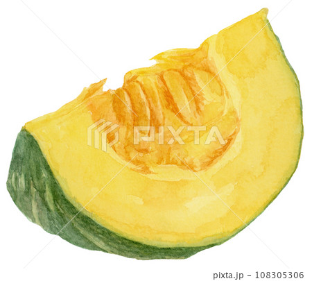 カットされたカボチャの水彩イラスト 108305306