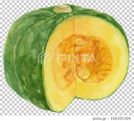 帶有凹口的南瓜的水彩插圖 108305309