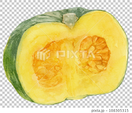 半分のカボチャの水彩イラスト 108305315