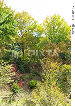 紅葉風景 108305670
