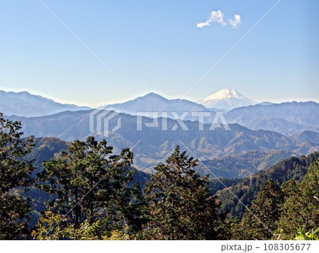富士山もみじ台より 富士山もみじ台より 108305677