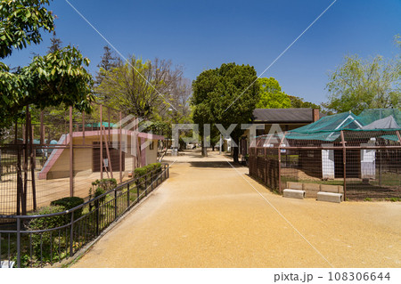 兵庫 姫路動物園 兵庫 姫路動物園 108306644