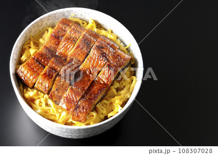 錦糸玉子と鰻の蒲焼きの熱々丼ぶりを黒背景で俯瞰撮影 錦糸玉子と鰻の蒲焼きの熱々丼ぶりを黒背景で俯瞰撮影 108307028