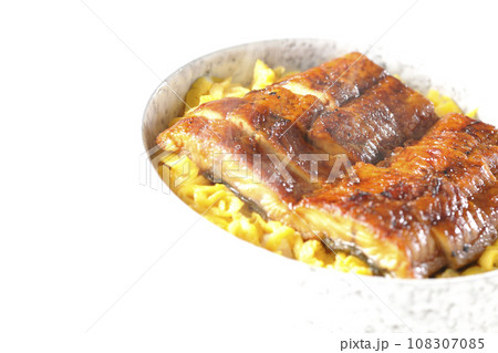 錦糸玉子と鰻の蒲焼きの熱々丼ぶりを白背景で撮影 錦糸玉子と鰻の蒲焼きの熱々丼ぶりを白背景で撮影 108307085