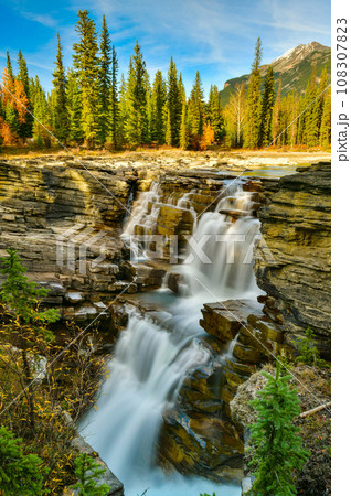 Athabasca Falls in autumn, Jasper National Park, Alberta, Canada 108307823