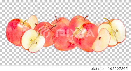 Many apples lined up watercolor illustration 108307865