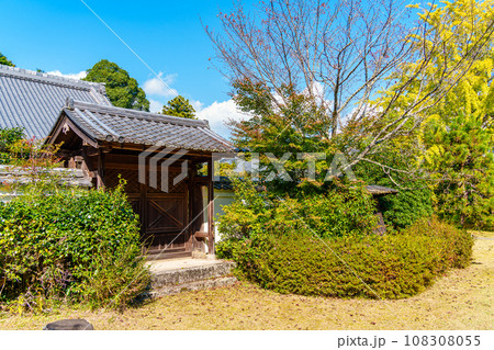 【奈良県】奈良市柳生 芳徳寺 (2023/10/26 撮影) 108308055