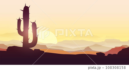 close view cactus panoramic landscape at sunset 108308158