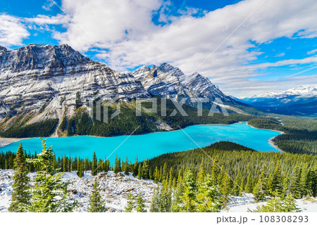 View from Bow Summit of Peyto lake in Banff national park ,Canada View from Bow Summit of Peyto lake in Banff national park ,Canada 108308293