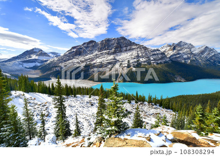 View from Bow Summit of Peyto lake in Banff national park ,Canada 108308294