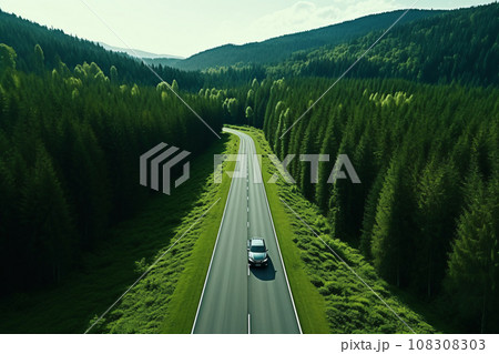 Aerial View of Green Forest with Car on Asphalt Road in Morning Light 108308303
