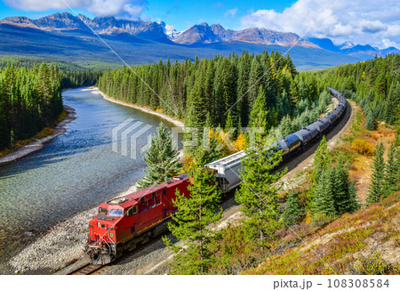 Train passing famous Morant's curve at Bow Valley in autumn ,Banff National Park, Canadian Rockies,Canada. 108308584