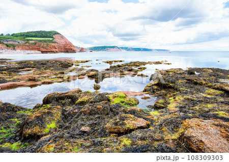 Rock formations in Ladram Bay, United Kingdom. View of the beach and red and orange cliffs and the sea, Jurassic coast, selective focus Rock formations in Ladram Bay, United Kingdom. View of the beach and red and orange cliffs and the sea, Jurassic coast, selective focus 108309303