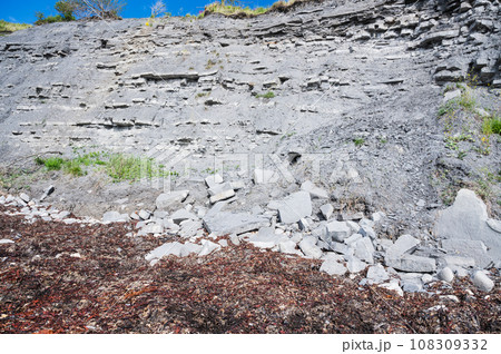 Cliffs in East Cliff beach in Lyme Regis, Dorset, South West England. Close up of stacked under time stones. Selective focus Cliffs in East Cliff beach in Lyme Regis, Dorset, South West England. Close up of stacked under time stones. Selective focus 108309332