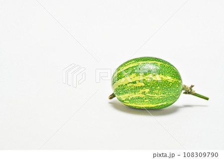 緑色のカラスウリの実（白背景）（秋、十月） 108309790