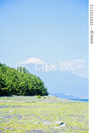 三保の松原から望む富士山 108310113