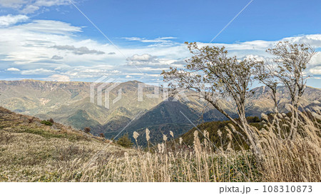 ススキの野原と青い空 108310873