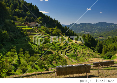 泉谷棚田 108311877