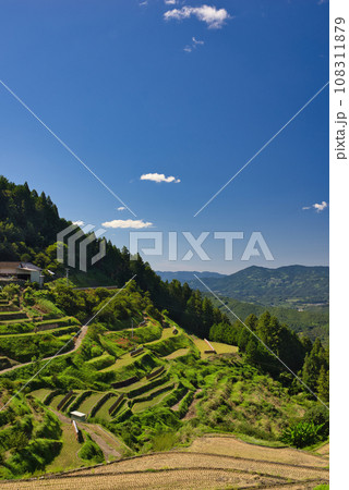 泉谷棚田 108311879