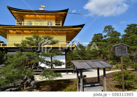 日本の春の京都　世界遺産の金閣寺　金色に輝く舎利殿　新緑が美しい鹿苑寺庭園と木造の案内看板 108311905