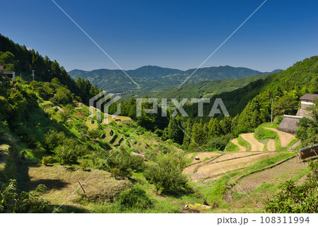 泉谷棚田 泉谷棚田 108311994