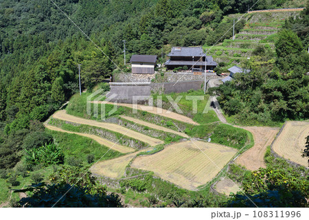 泉谷棚田 泉谷棚田 108311996