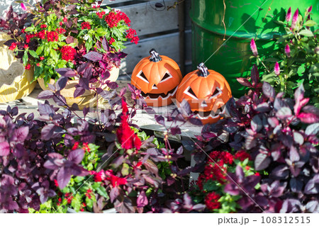 ハロウィン　飾り付け 108312515