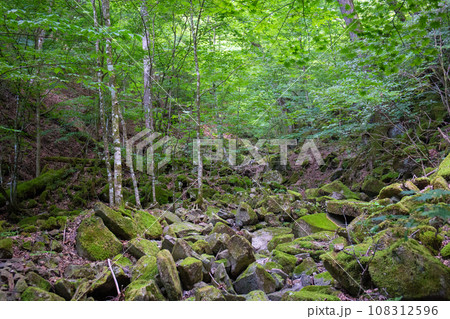 三頭山の登山道・ガレ場（東京都西多摩郡檜原村） 108312596