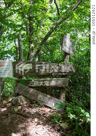 三頭山と西原峠の分かれ道の標識（東京都西多摩郡檜原村） 108312621