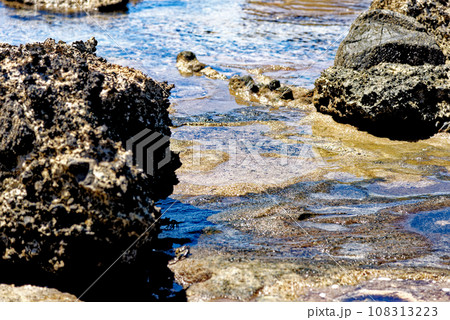 Jandia Nature Park - Fuerteventura, Canary Islands, Spain Jandia Nature Park - Fuerteventura, Canary Islands, Spain 108313223