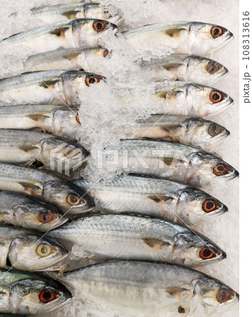 Fresh fish Fresh fish 108313616