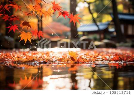 水面に浮かぶ紅葉のイラスト素材 [108313711] - PIXTA