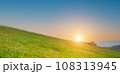 beautiful grass field with blue sky. Countryside landscape view background. 108313945