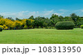 Beautiful grass field and tree with blue sky. Countryside landscape view background 108313950