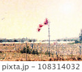 Summer hot day on sport airport with windsock, wind is blowing 108314032