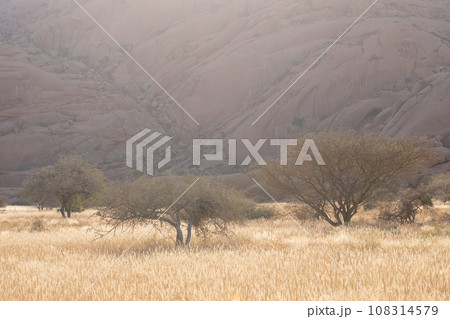 Sunset at Spitzkoppe 108314579