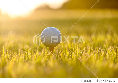 ゴルフイメージ 108314623