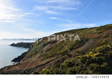 アイルランド・ハウス（Howth）の海辺のハイキングコース 108314939