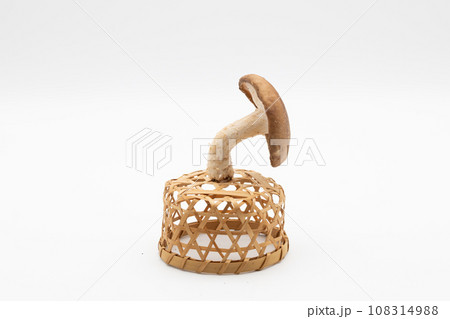 小さな籠に盛り付けられている椎茸と白背景 108314988