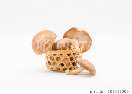 小さな籠に盛り付けられている椎茸と白背景 108315000