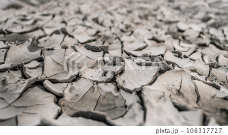 cracked ground texture cracked ground texture 108317727