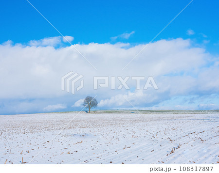 The melting of the snow on the fields in early spring. 108317897