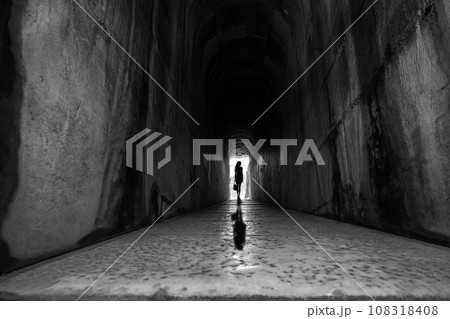 apollon temple in didim aydin in turkey 108318408