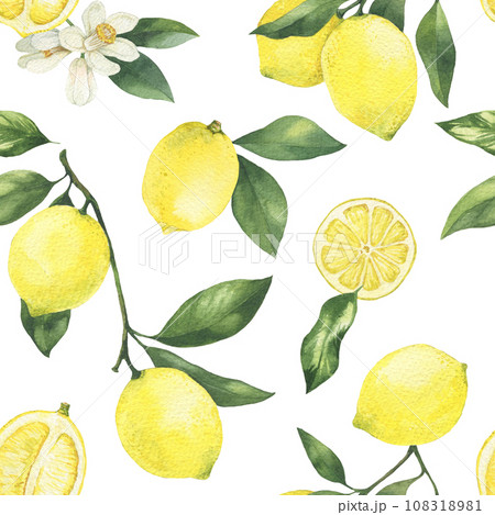 Hand drawn watercolor lemon illustration. Seamless pattern with lemons, flowers and leaves. For textile, packaging, decor, invitations. 108318981