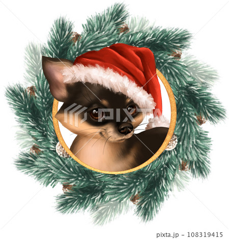 Cute chihuahua dog in Santa hat. Christmas illustration with fir wreath 108319415