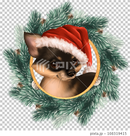 Cute chihuahua dog in Santa hat. Christmas illustration with fir wreath 108319415
